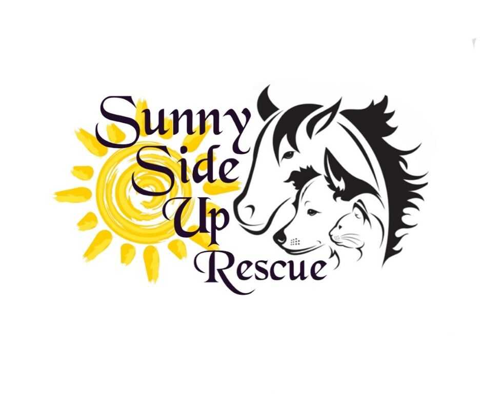 Sunny Side Up Rescue